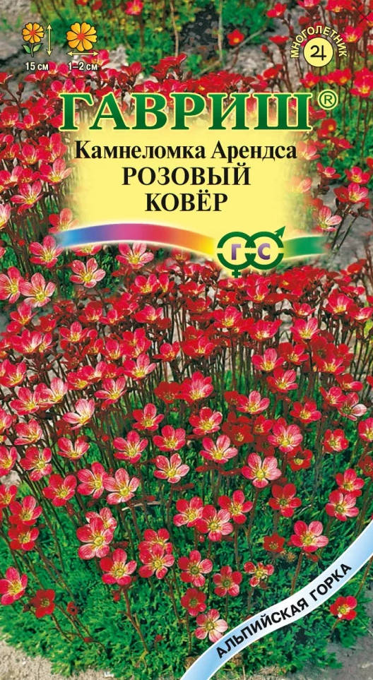 Камнеломка Розовый Ковер, многолетник ( 1 уп: 0,01г )