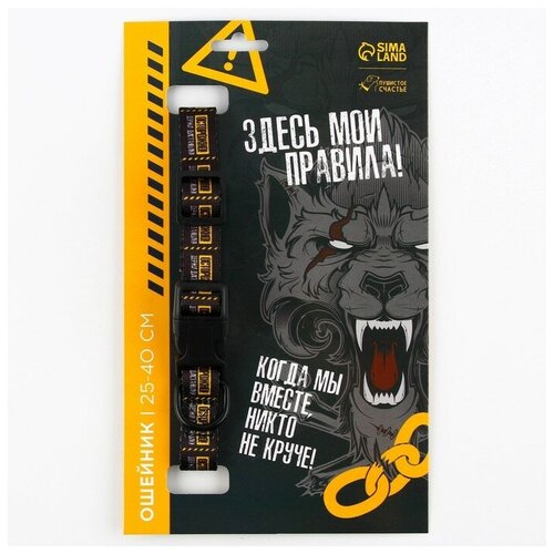 поводок несу счастье нейлон застёжка фастекс 2 см 2 м пушистое счастье 7649720 Ошейник для собак Пушистое счастье Осторожно, нейлон, застежка-фастекс, 2 см 25-40 см