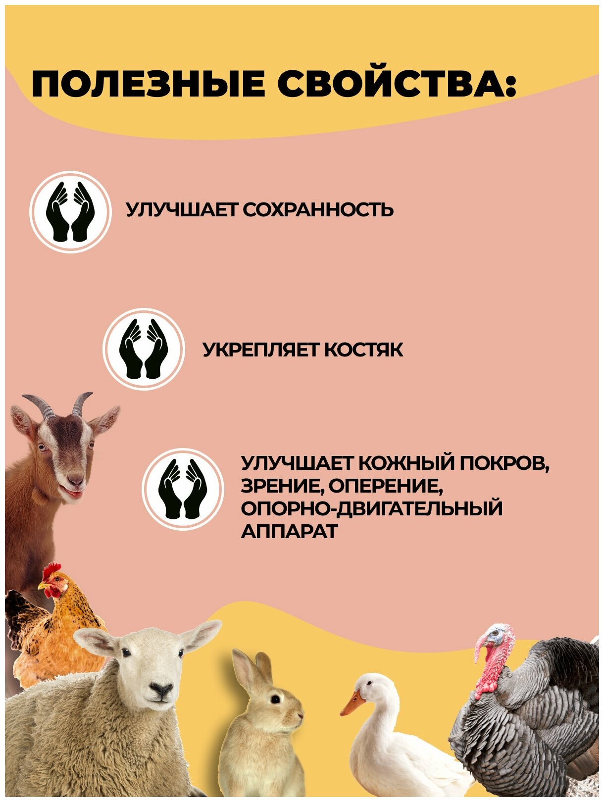 Мясокостная мука кормовая 10кг, витамины для собак, птиц, кошек - фотография № 3