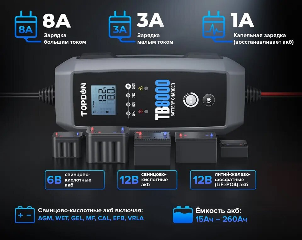 Умное зарядное устройство TOPDON TB8000