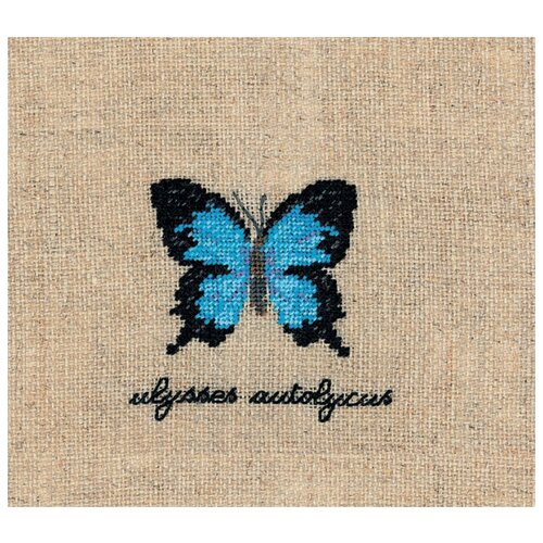 фото Набор для вышивания: papillons ulysses autolycus (бабочка ulysses autolycus) le bonheur des dames, 5*5,5 3628