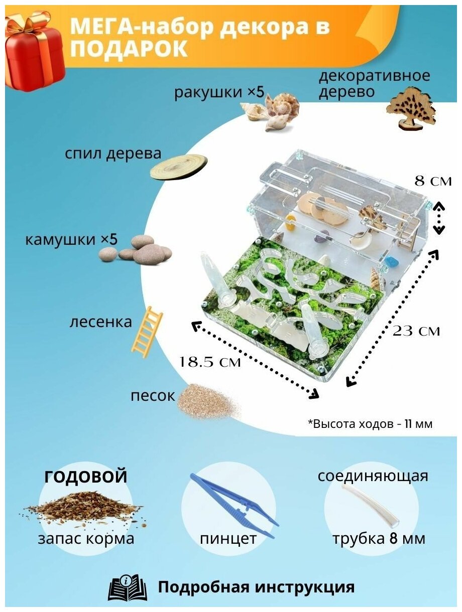 Муравьиная ферма, Формикарий для муравьев старт для новичков - фотография № 10