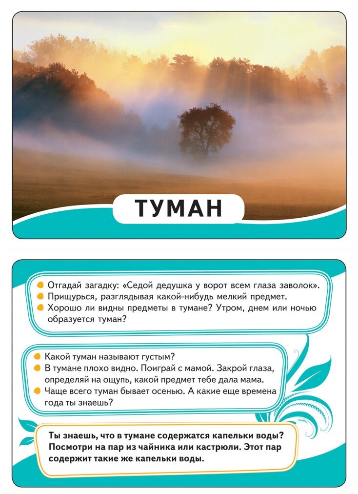 Мир вокруг. Развивающие карточки. 32 карточки - фото №11