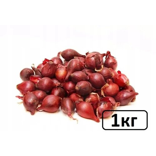 Семена лук-севок Ред Барон 1 кг