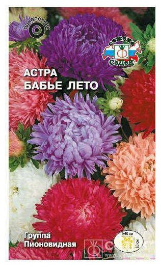 Астра Бабье лето СеДеК 0,2г - фото №1