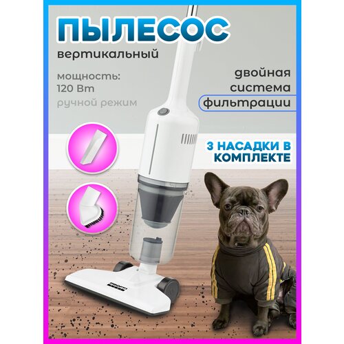 Пылесос вертикальный ручной для дома 2 в 1 PROFFI HOME PH10640