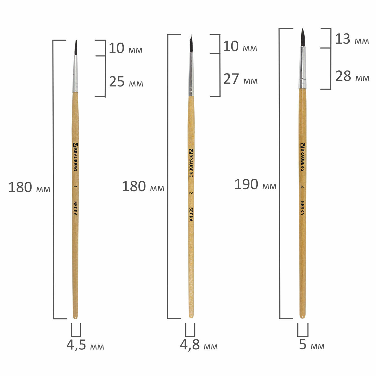 Набор кистей BRAUBERG белка, круглые, с короткой ручкой, №5, 5 шт., блистер, разноцветный - фото №11