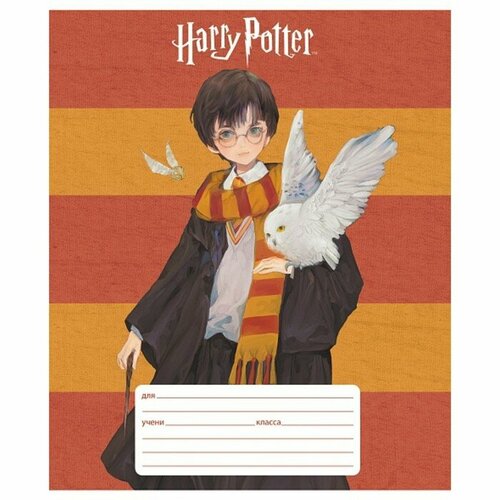 Тетрадь 12 листов в линейку "Гарри Поттер", обложка мелованный картон, блок офсет 65г/м2 , 5В микс, 10 штук