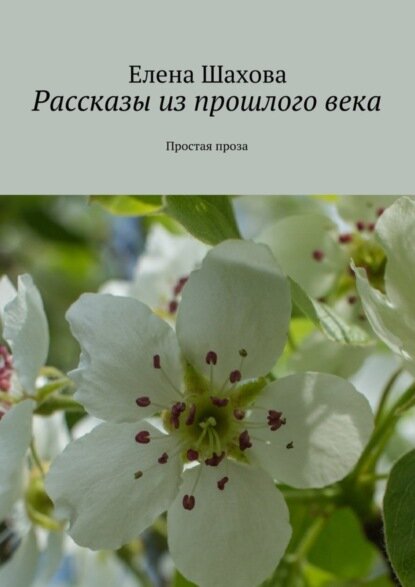 Рассказы из прошлого века. Простая проза [Цифровая книга]