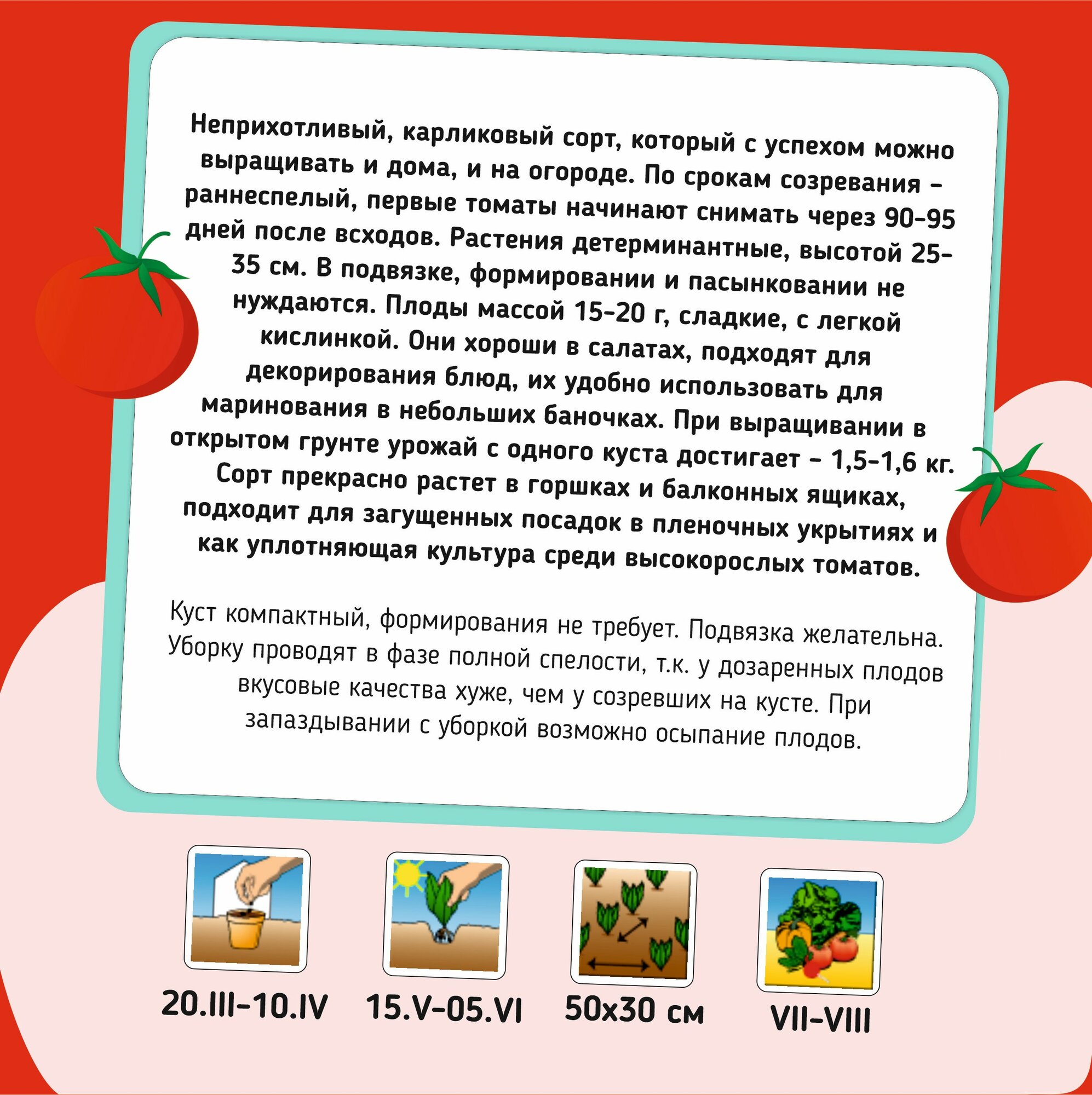 Набор семян для балкона и подоконника. Томат черри и огурец. — фото 1