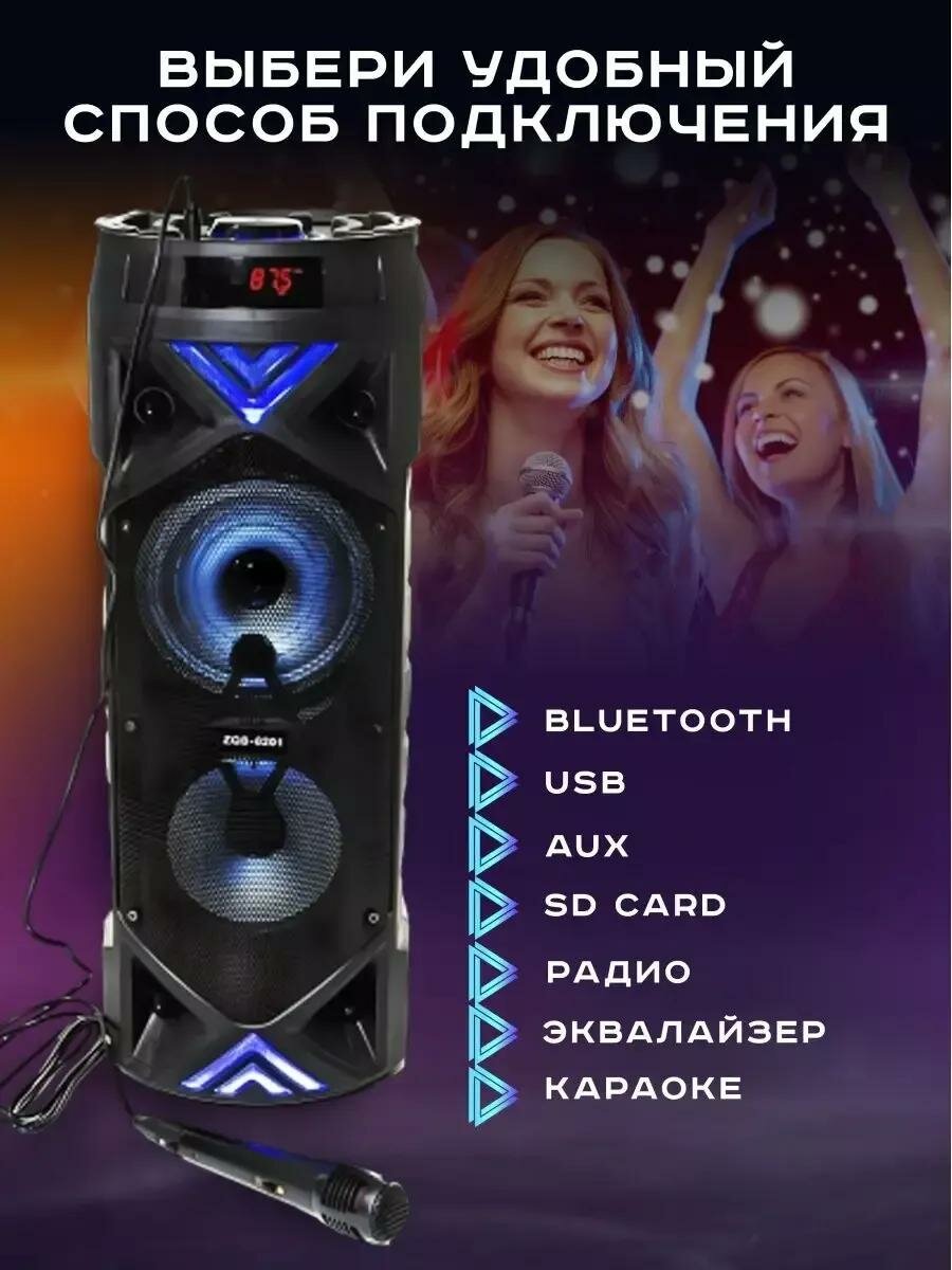 Колонка 6201 Bluetooth, Беспроводная с микрофоном и караоке, Акустическая система, Черный — фото 1