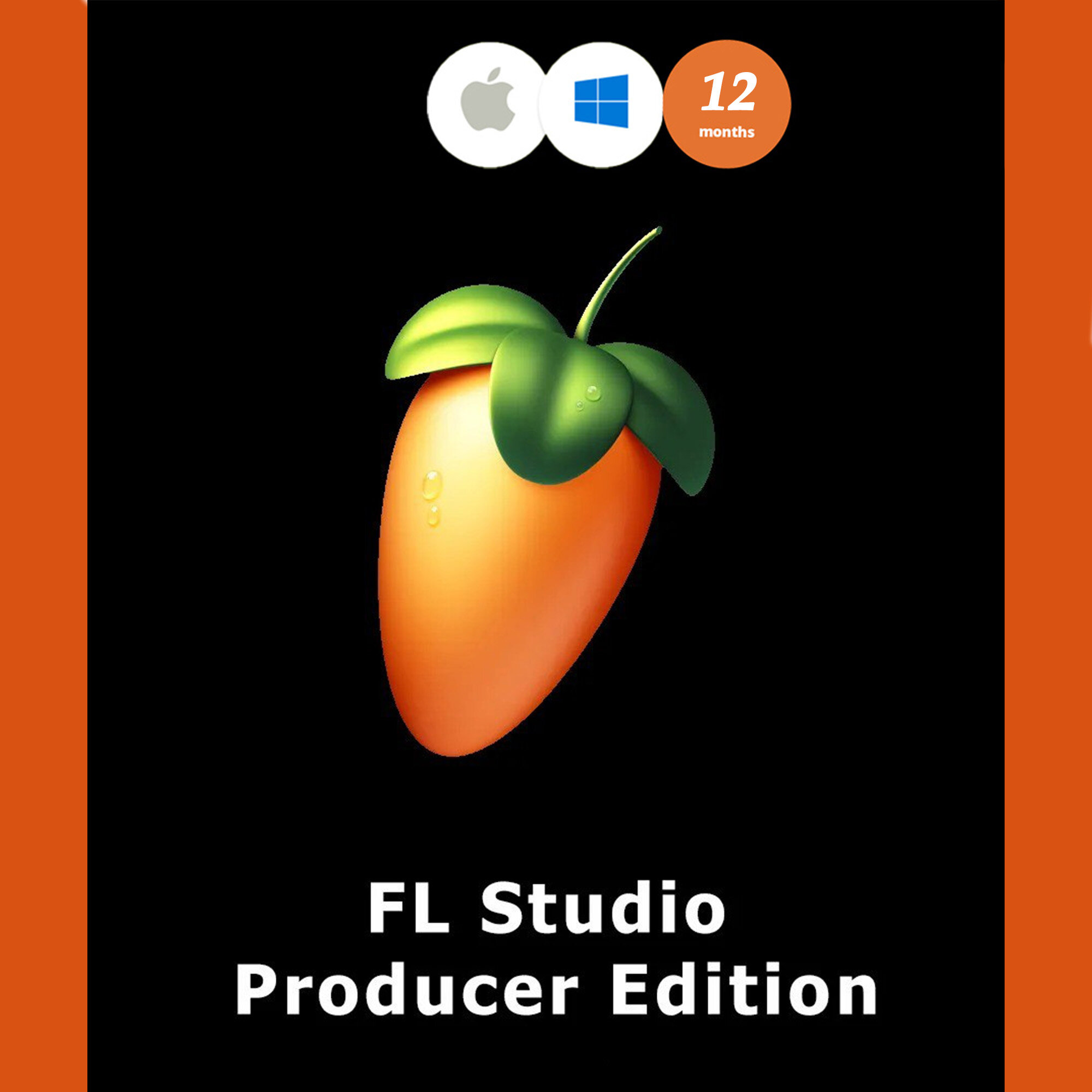 FL Studio 2024 Producer Edition (лицензионный ключ на 12 месяцев)