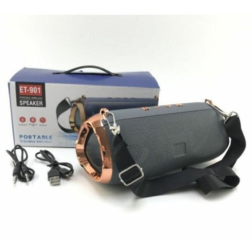 Портативная колонка ET-901 183500₽