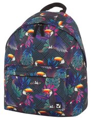 Рюкзак BRAUBERG сити-формат универсальный, Toucans, разноцветный, 41х32х14 см, 228847