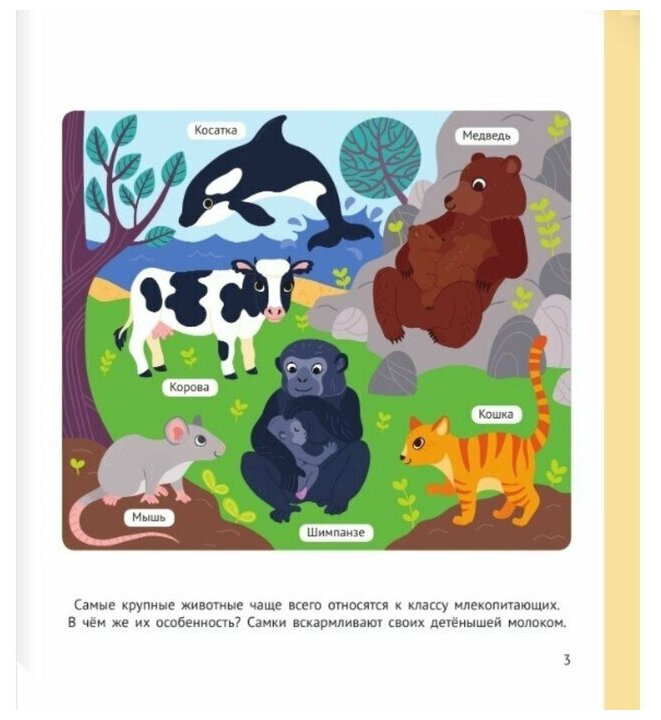 Энциклопедия животных для малышей - фото №5