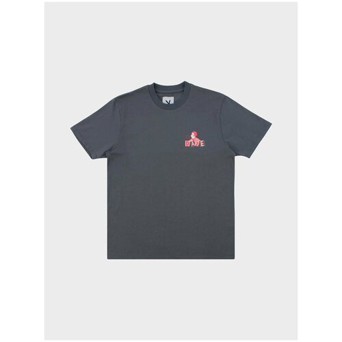 Футболка Lies Radio daze ( m / серый / dzlsrdsg-ts-ss22 )