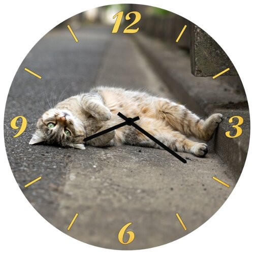 фото Настенные часы svs 3501851