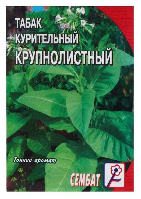 Семена Табак "Крупнолистный 512", 0.01 г