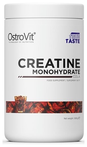   OstroVit Creatine Monohydrate (500 ) 