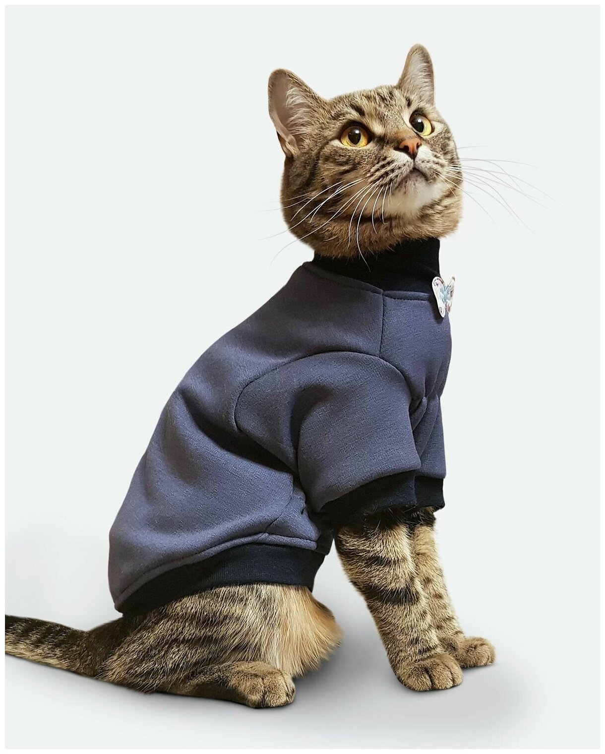 Толстовка одежда для кошек сфинкс "Джентльмен" - фотография № 2