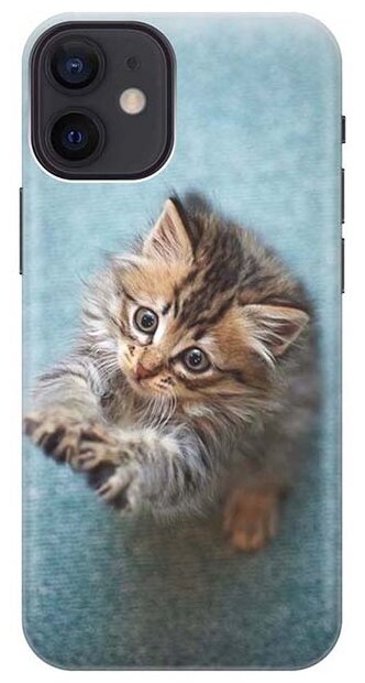 Силиконовый чехол на Apple iPhone 12 Mini / Эпл Айфон 12 мини с рисунком "Котёнок на голубом"