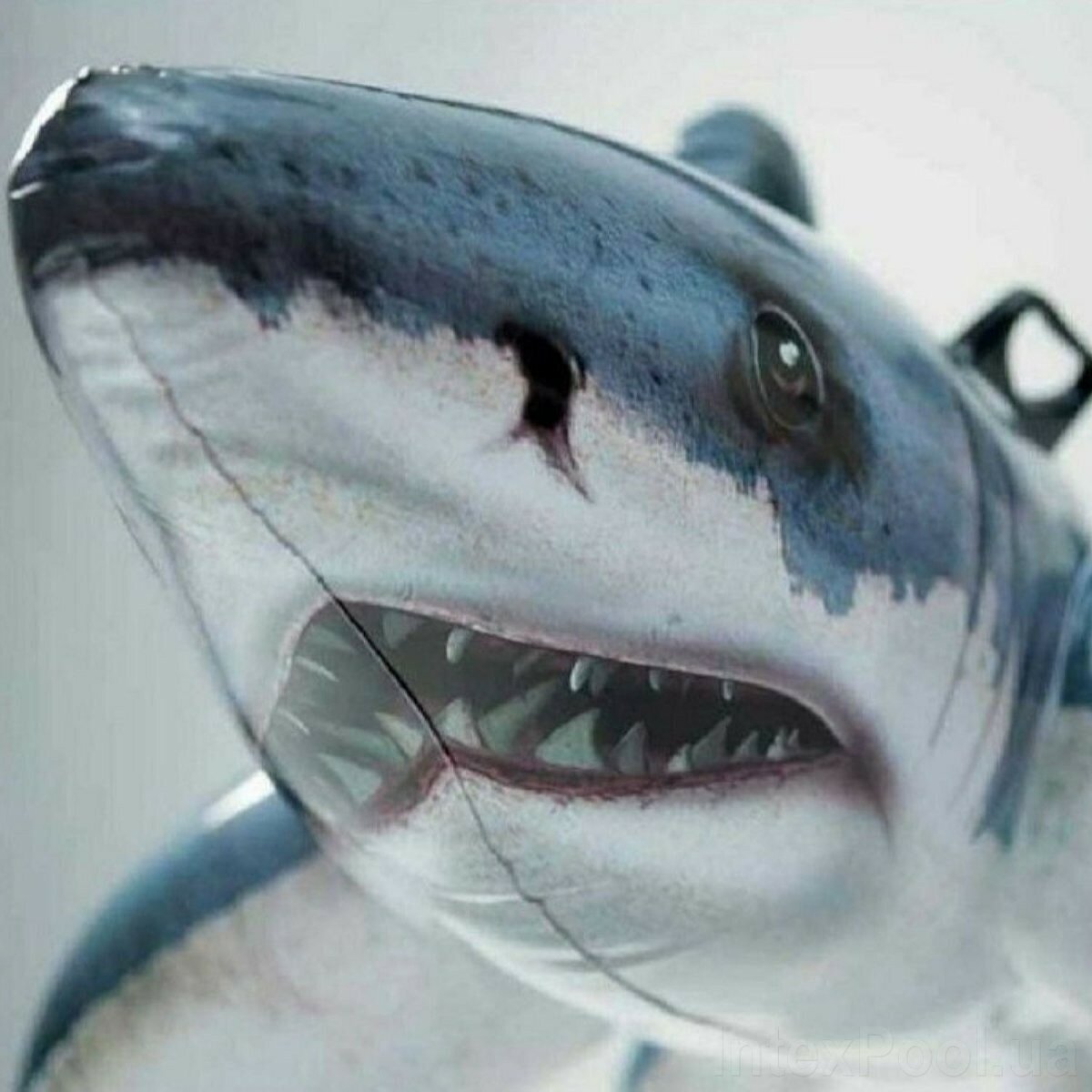 Игрушка для катания по воде Intex Белая акула, 173х107 см - фото №12