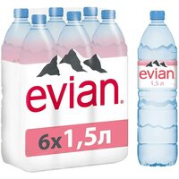 Вода минеральная природная столовая питьевая Evian негазированная, ПЭТ, 6 шт. по 1.5 л