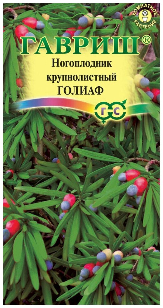 Гавриш Ногоплодник Голиаф (круглолистный) 3 семени