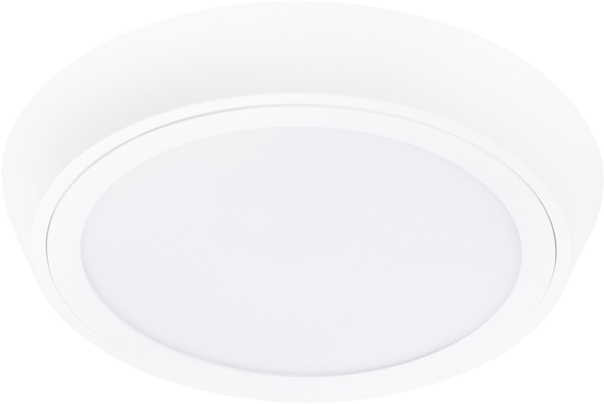 Настенно-потолочный светильник светодиодный белый IP65 4000K Lightstar Urbano Cyl 216904