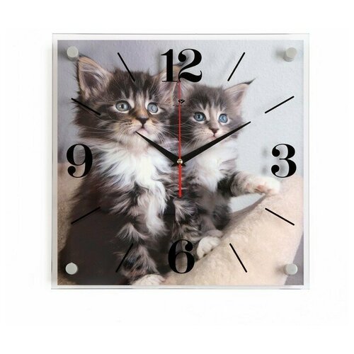 Часы настенные 21 век серия: Животный мир, "Котята", 35*35 см