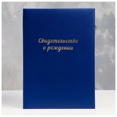 Папка для свидетельства о рождении Синяя бумвинил, мягкая, А4 папка для свидетельства о рождении синяя бумвинил мягкая а4 канцбург