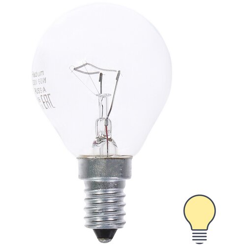 Лампа накаливания Radium «Шар», E14, 60 Вт, прозрачная колба