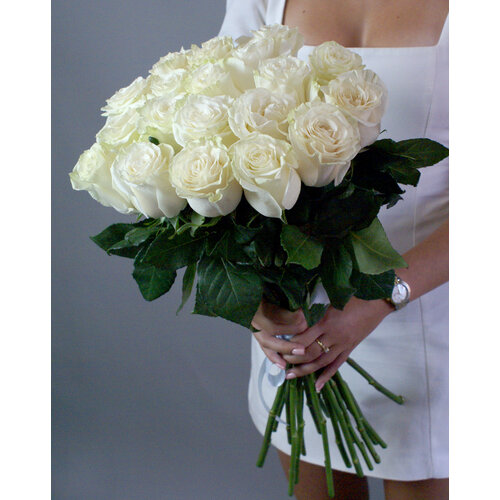 Розы белые Эквадор 25 штук, "Мондиаль" 50 см