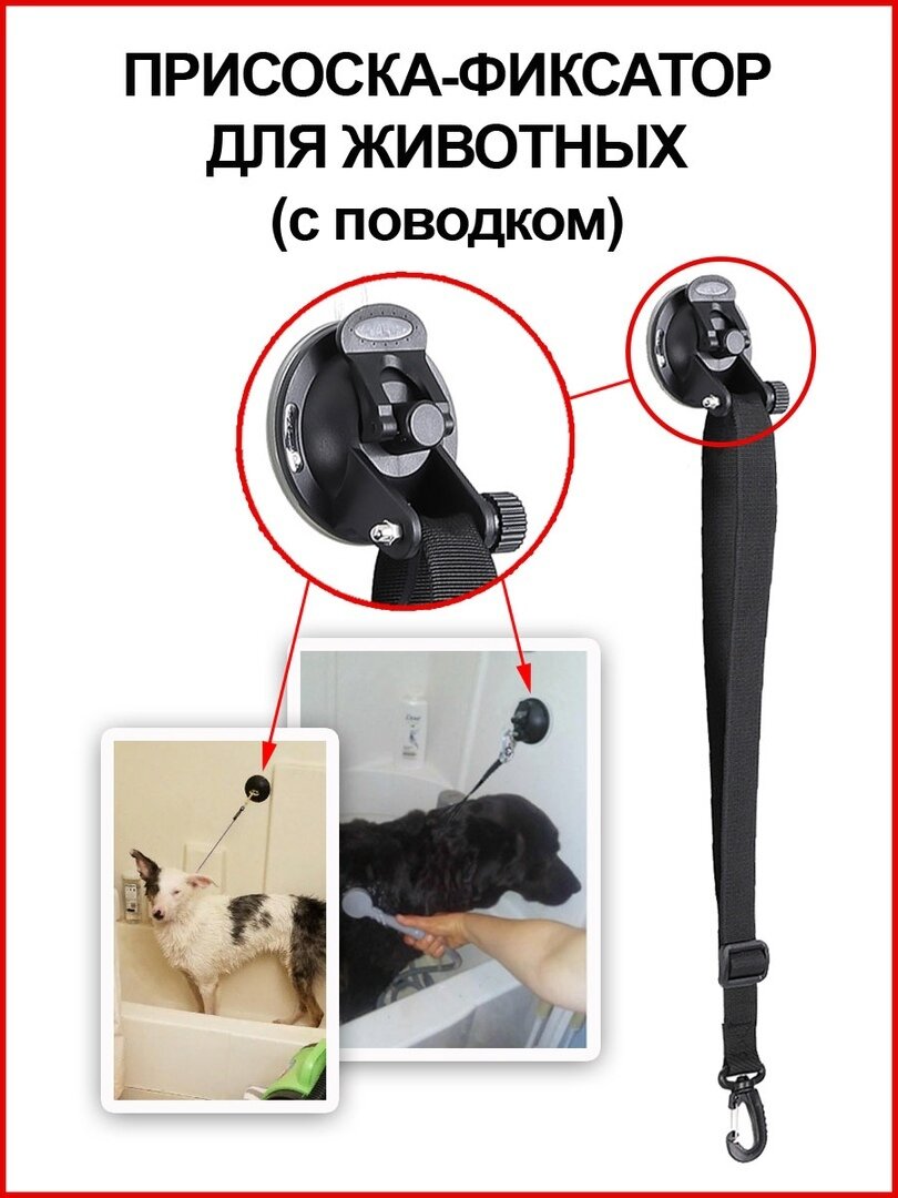 Присоска фиксатор (с поводком) для мытья кошек и собак - фотография № 1