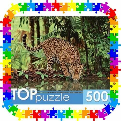 TOPpuzzle-500 "Ягуар на водопое" (КБТП500-6801) Рыжий кот - фото №3