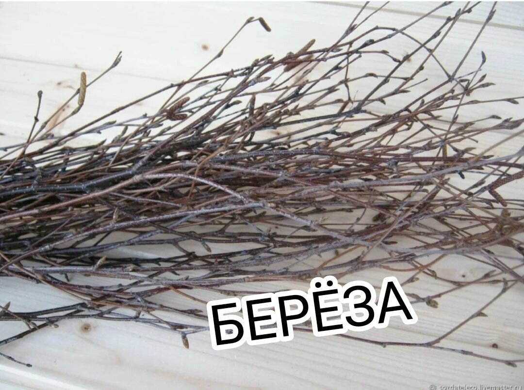 Ветки березы плакучей 65 см 