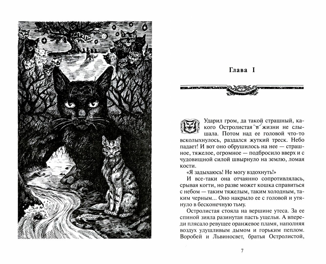 Книга Коты-воители. Нерассказанные истории: История Остролистой: сборник - фото №2