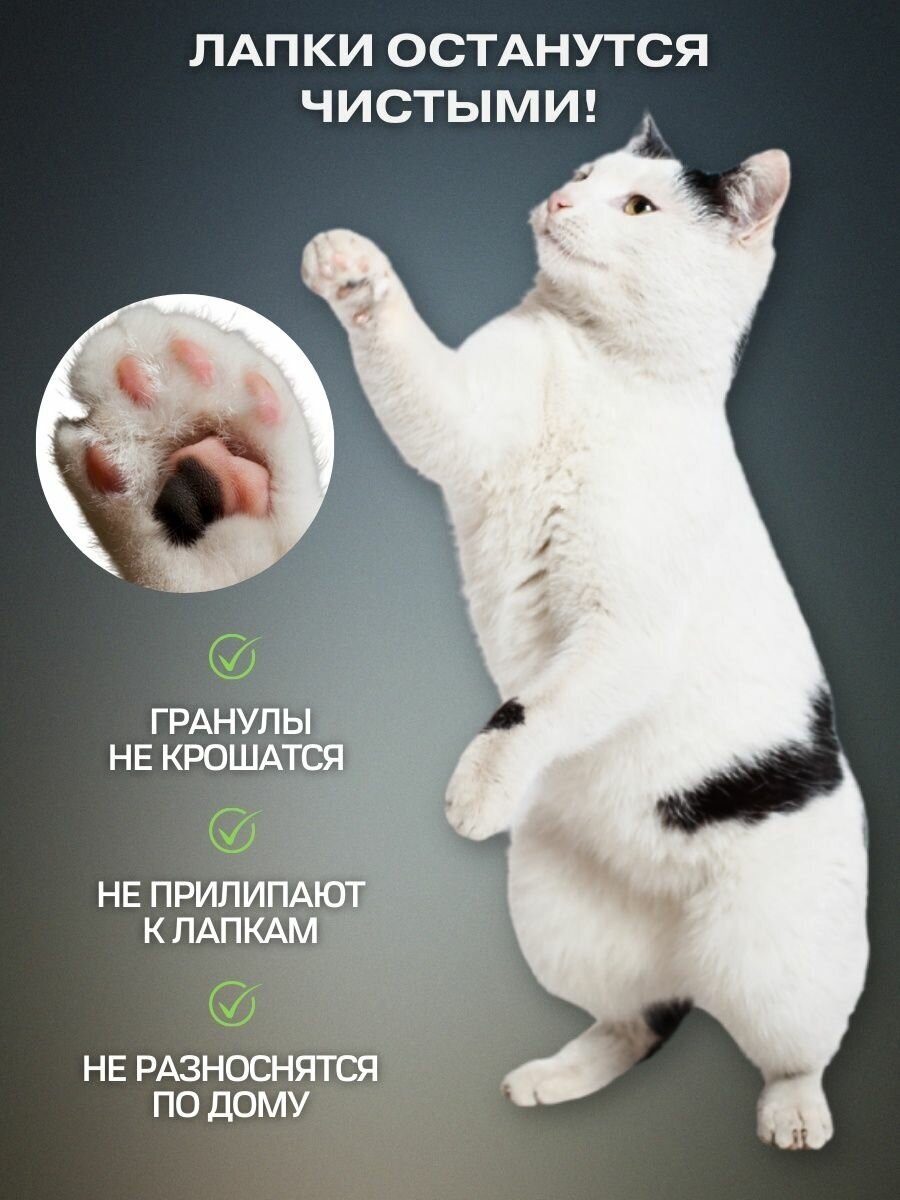 Древесный наполнитель для кошачьих туалетов премиум класса-береза. . 4 кг / Sphere of life - фотография № 5