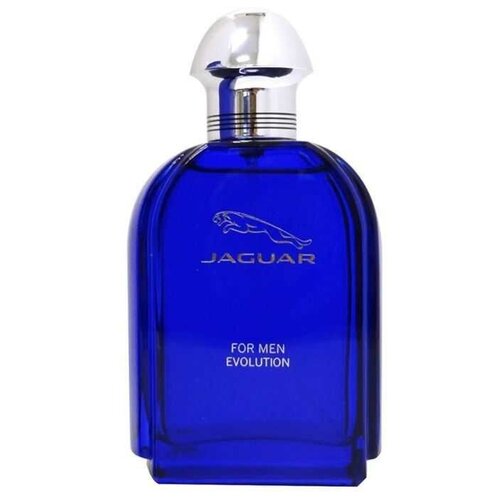 Jaguar туалетная вода Jaguar for Men Evolution, 100 мл, 246 г