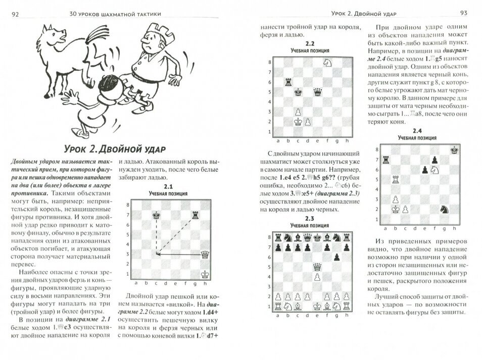 30+30 Шахматных уроков (Попова Марианна Викторовна, Манаенков Владимир Николаевич (соавтор)) - фото №2