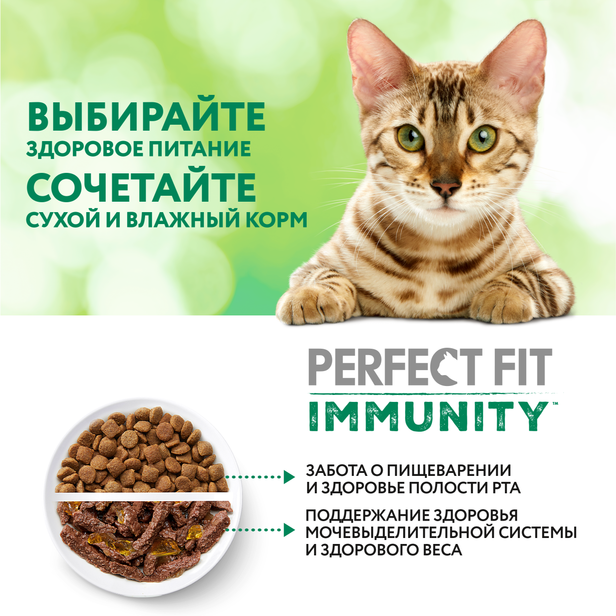 Perfect Fit Immunity корм для иммунитета кошек, говядина, семена льна, голубика, 5,5 кг. - фотография № 13