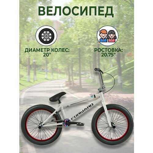 ZIGZAG 20 (20 1 ск. рост. 20.75) 2022, серый экстремальный велосипед forward zigzag 20 2022 20 серый