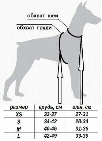 Шлейка с поводком черная "M" со светоотражающими элементами для кошек и собак и др. домашних животных - фотография № 2