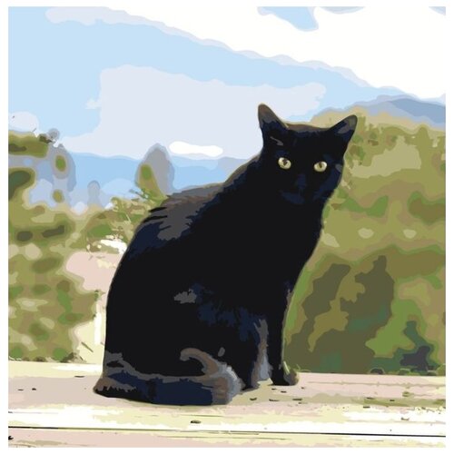 Картина по номерам Черный кот, 40x40 см картина по номерам чеширский кот 40x40 см