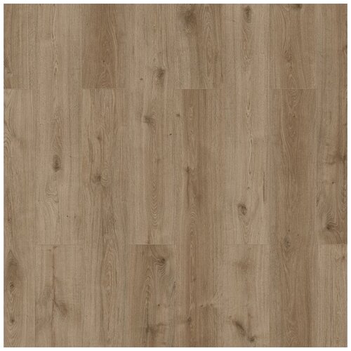Classen Sensa Skyline XL WR Chino 56199