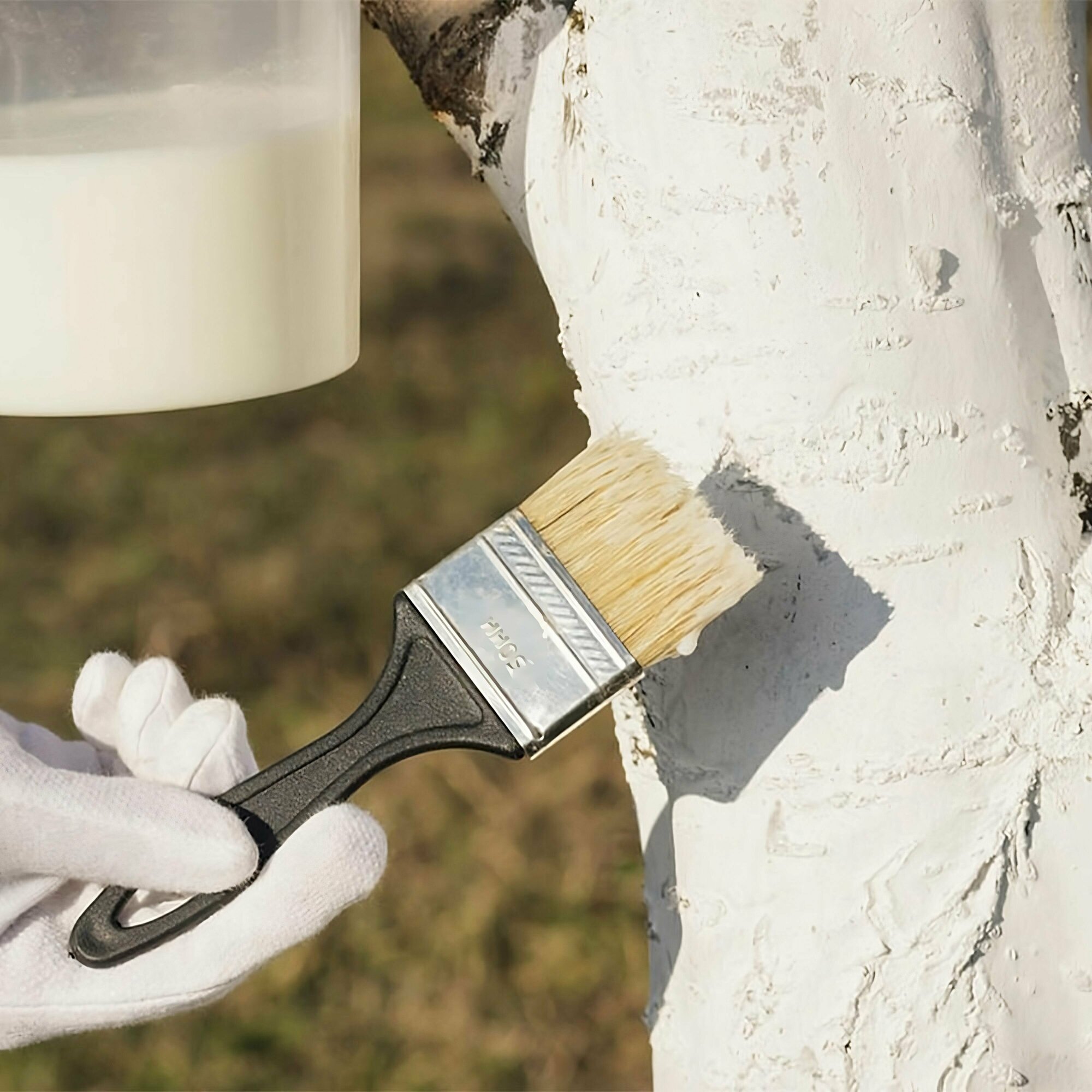 Антибактериальная побелка 3.5кг, с уникальным составом из белой глины и серебра, который защищает деревья от растрескивания и насекомых-вредителей - фотография № 2