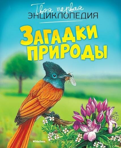 Бомон Эмили. Загадки природы. Твоя первая энциклопедия