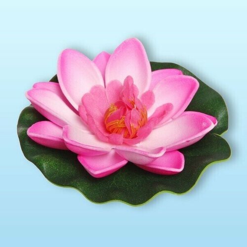 Растение водоплавающее "Кувшинка" диаметр10см розовая