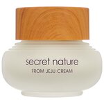 Secret Nature From Jeju Cream Увлажняющий крем для лица с экстрактом зелёного чая - изображение