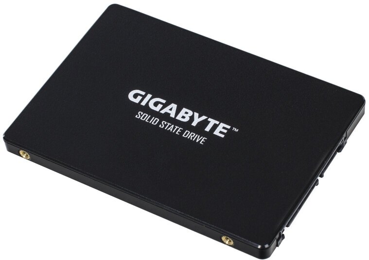 Твердотельный накопитель GIGABYTE 256 ГБ SATA SSD 256GB (GP-GSTFS31256GTND)